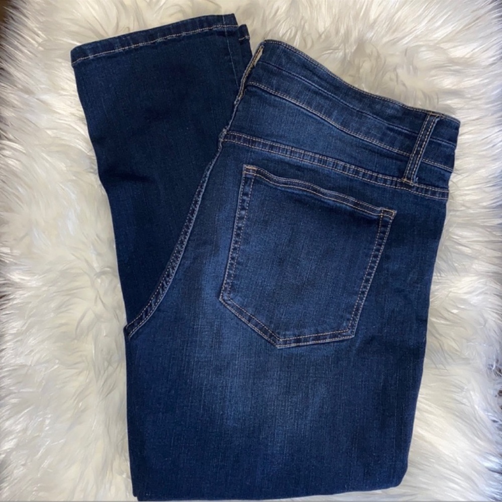 Daytrip Refined Lynx Stretch Cropped Jean - Picture 2 of 6